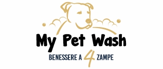 Logo CardWash